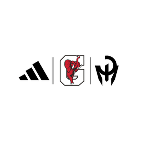 Gainesville High School banner logo